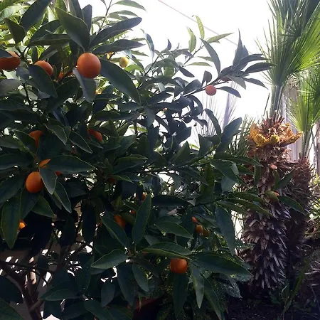 Appartement Conchi *