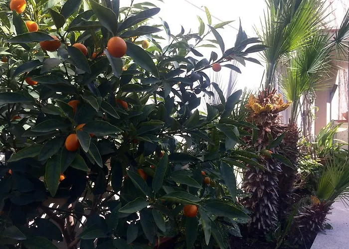 Appartement Conchi *